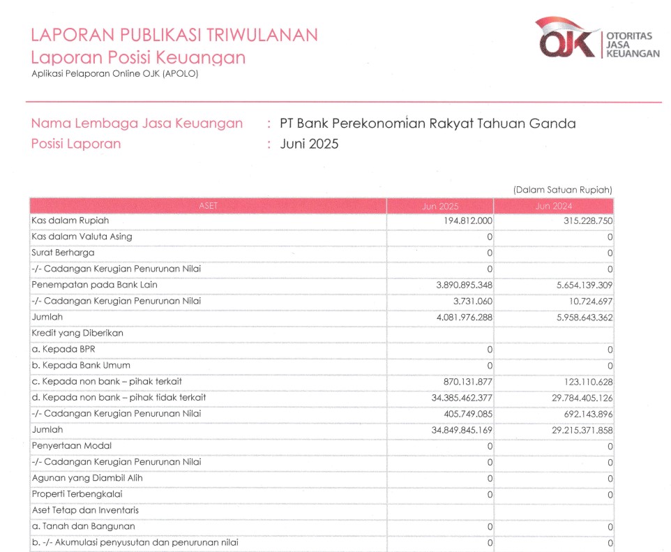 Laporan Publikasi Triwulanan Juni 2025